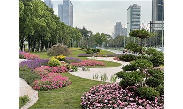 來現場打卡，感受“美麗無錫”的美好